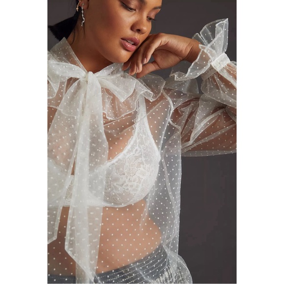 Anthropologie Dolan Sheer Tie-Neck Blouse NWT Size Small - Picture 6 of 15